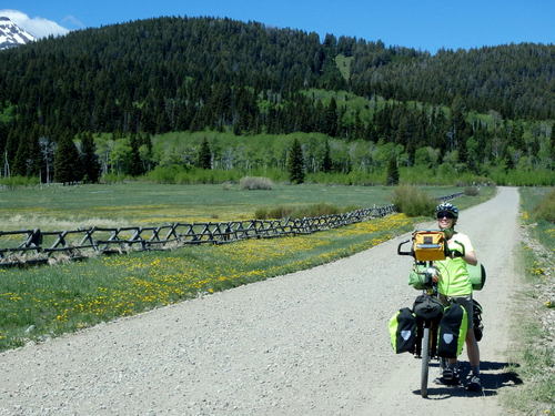 GDMBR: Terry and the Bee beside a field of Dandelions.